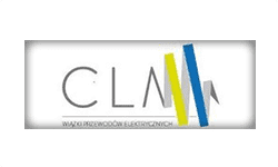 Logo CLM, strategia internacjonalizacji